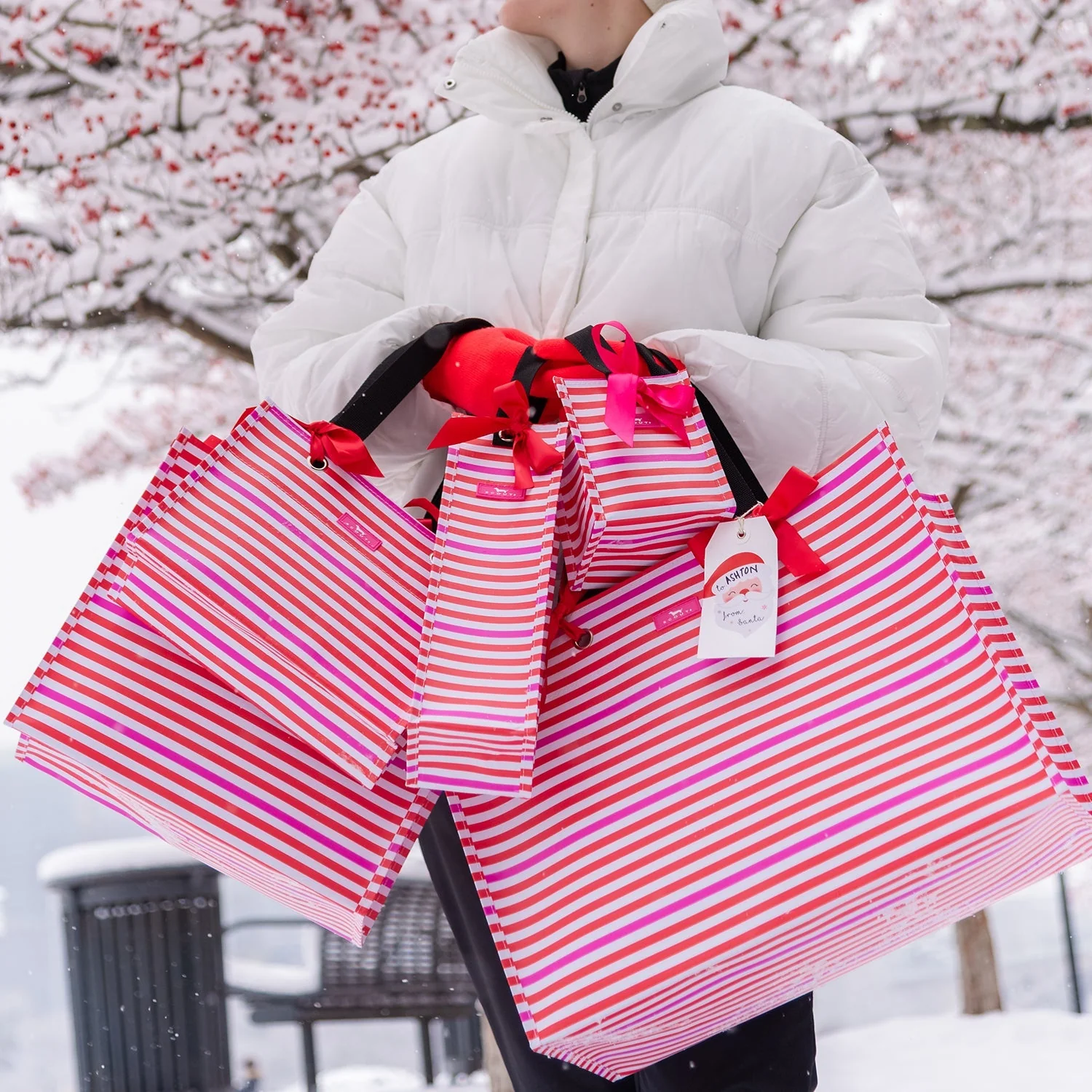 Gift Bag Large - Image 5