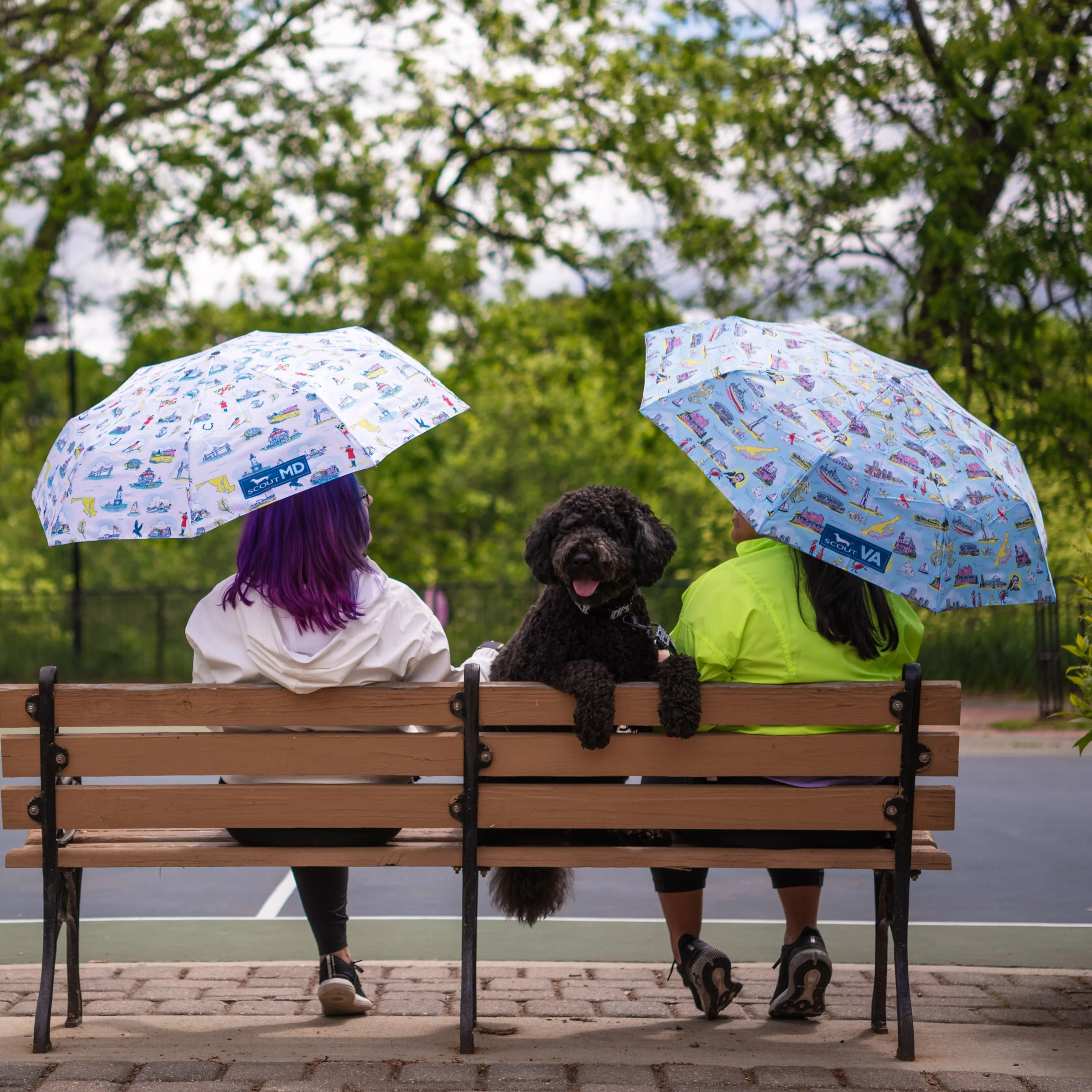 High and Dry Umbrella - Image 4